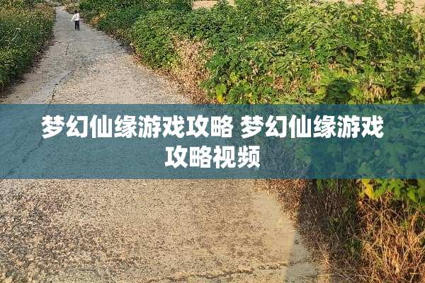 梦幻仙缘游戏攻略 梦幻仙缘游戏攻略视频