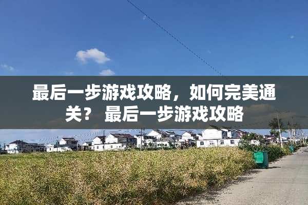 最后一步游戏攻略，如何完美通关？ 最后一步游戏攻略