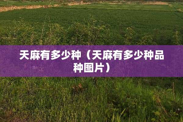天麻有多少种（天麻有多少种品种图片）