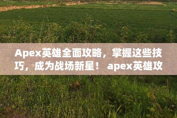 Apex英雄全面攻略，掌握这些技巧，成为战场新星！ apex英雄攻略