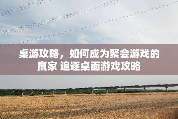 桌游攻略，如何成为聚会游戏的** 追逐桌面游戏攻略