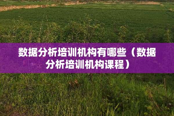 数据分析培训机构有哪些（数据分析培训机构课程）