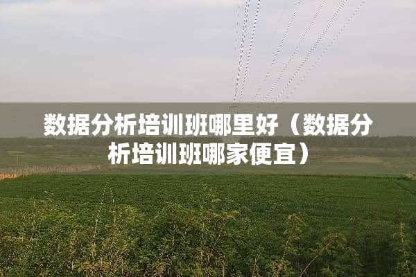 数据分析培训班哪里好（数据分析培训班哪家便宜）