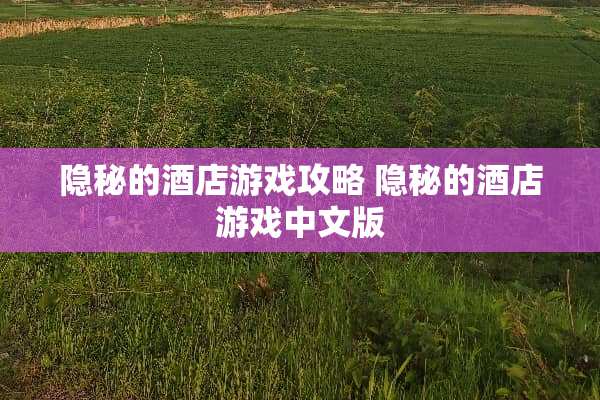 隐秘的酒店游戏攻略 隐秘的酒店游戏中文版