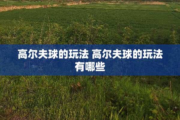 高尔夫球的玩法 高尔夫球的玩法有哪些