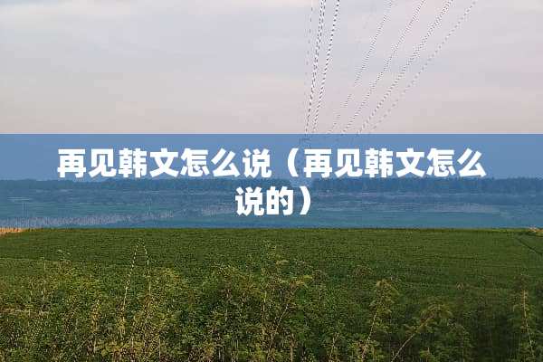 再见韩文怎么说（再见韩文怎么说的）