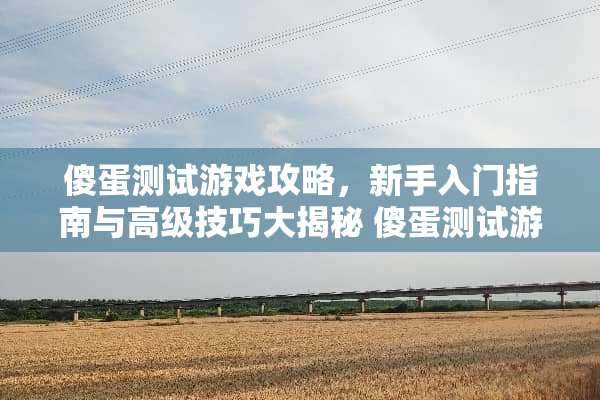傻蛋测试游戏攻略，新手入门指南与高级技巧大揭秘 傻蛋测试游戏攻略