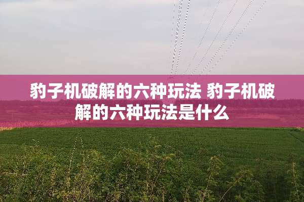 豹子机破解的六种玩法 豹子机破解的六种玩法是什么