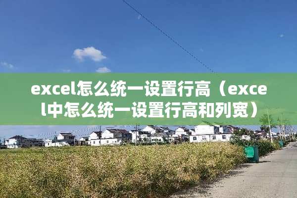 excel怎么统一设置行高（excel中怎么统一设置行高和列宽）