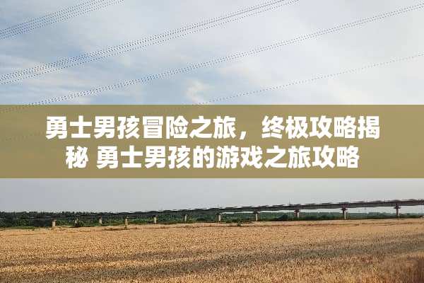 勇士男孩冒险之旅，终极攻略揭秘 勇士男孩的游戏之旅攻略