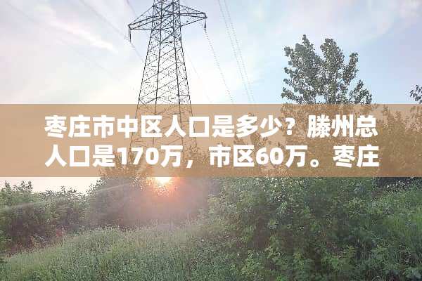 枣庄市中区人口是多少？滕州总人口是170万，市区60万。枣庄呢？市区是多少？