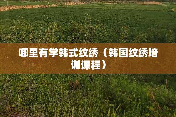 哪里有学韩式纹绣（韩国纹绣培训课程）