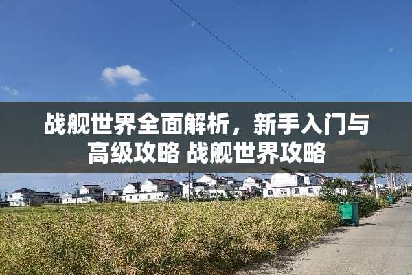 战舰世界全面解析，新手入门与高级攻略 战舰世界攻略