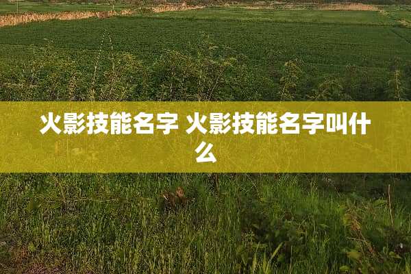 火影技能名字 火影技能名字叫什么