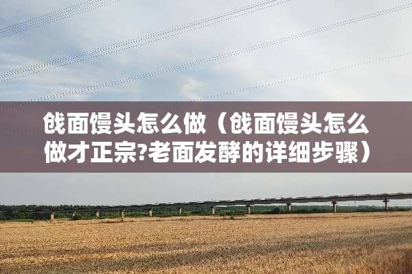 戗面馒头怎么做（戗面馒头怎么做才正宗?老面发酵的详细步骤）