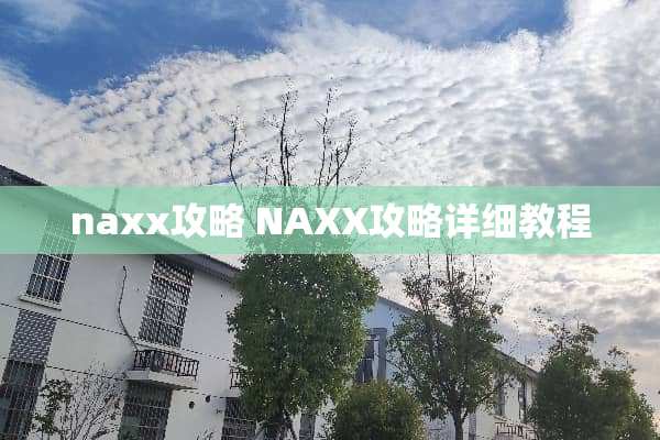 naxx攻略 NAXX攻略详细教程