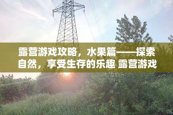 露营游戏攻略，水果篇——探索自然，享受生存的乐趣 露营游戏攻略水果