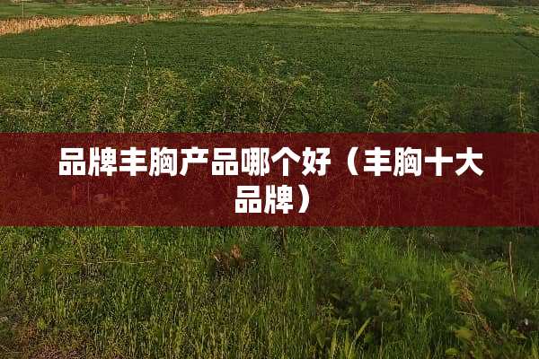 品牌丰胸产品哪个好（丰胸十大品牌）