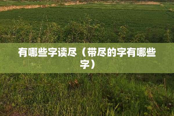 有哪些字读尽（带尽的字有哪些字）