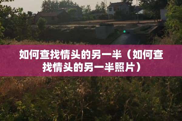 如何查找情头的另一半（如何查找情头的另一半照片）