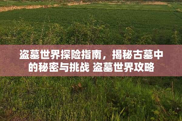 盗墓世界探险指南，揭秘古墓中的秘密与挑战 盗墓世界攻略