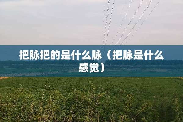 把脉把的是什么脉（把脉是什么感觉）