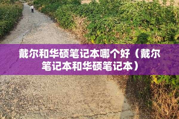 戴尔和华硕笔记本哪个好（戴尔笔记本和华硕笔记本）