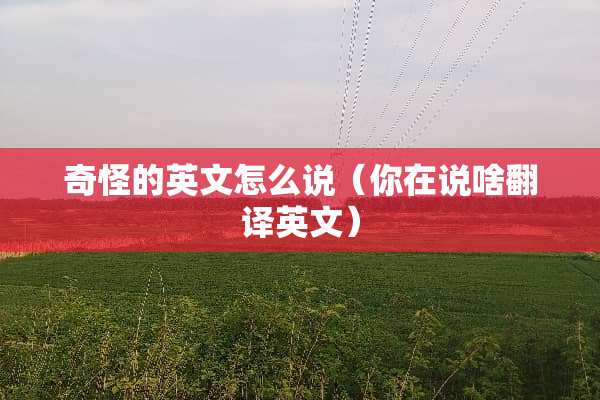 奇怪的英文怎么说（你在说啥翻译英文）