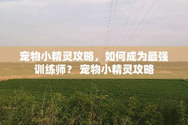宠物小精灵攻略，如何成为最强训练师？ 宠物小精灵攻略