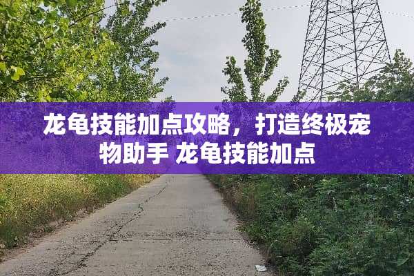 龙龟技能加点攻略，打造终极宠物助手 龙龟技能加点