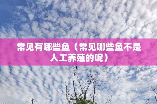 常见有哪些鱼（常见哪些鱼不是人工养殖的呢）