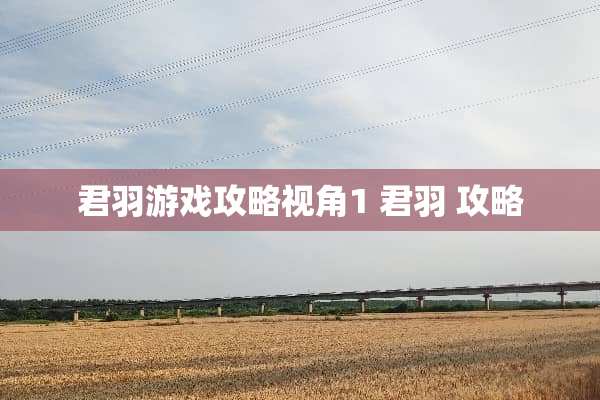 君羽游戏攻略视角1 君羽 攻略