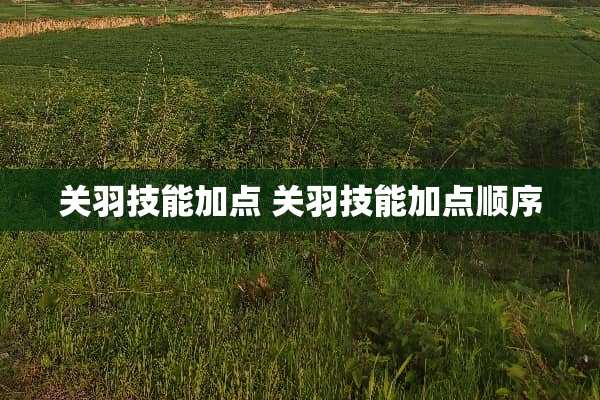 关羽技能加点 关羽技能加点顺序