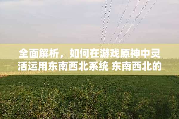 全面解析,如何在游戏原神中灵活运用东南西北系统 东南西北的玩法 全面解析,如何在游戏原神中灵活运用东南西北系统 东南西北的玩法