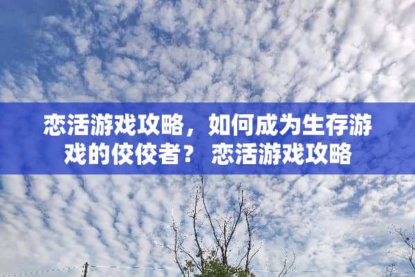 恋活游戏攻略，如何成为生存游戏的佼佼者？ 恋活游戏攻略