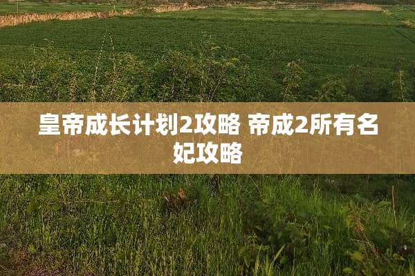 皇帝成长计划2攻略 帝成2所有名妃攻略