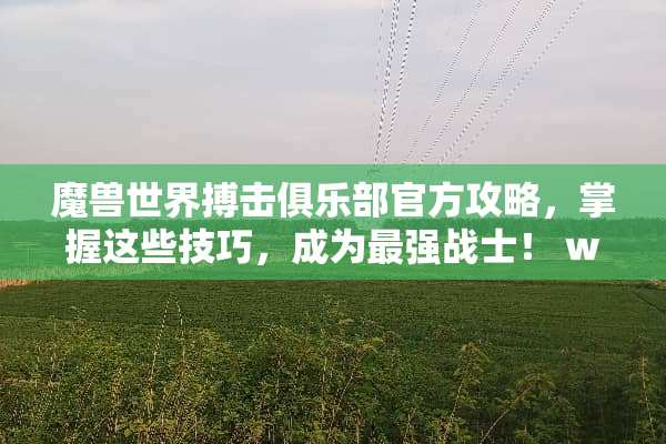 魔兽世界搏击俱乐部官方攻略，掌握这些技巧，成为最强战士！ wow搏击俱乐部攻略