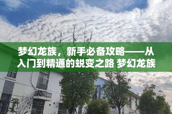 梦幻龙族，新手必备攻略——从入门到精通的蜕变之路 梦幻龙族攻略