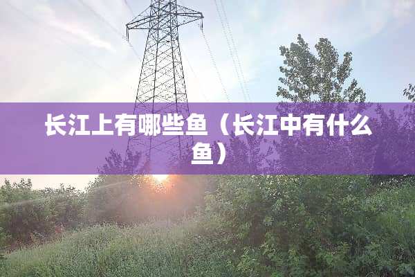 长江上有哪些鱼（长江中有什么鱼）