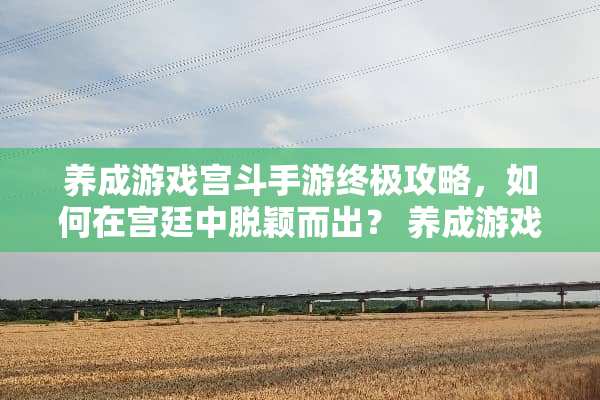 养成游戏宫斗手游终极攻略，如何在宫廷中脱颖而出？ 养成游戏宫斗手游攻略
