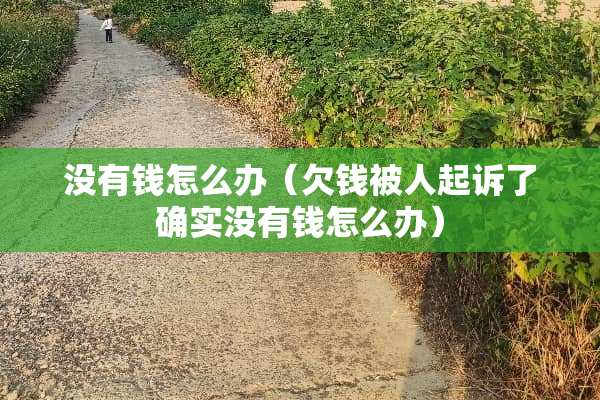 没有钱怎么办（欠钱被人起诉了确实没有钱怎么办）