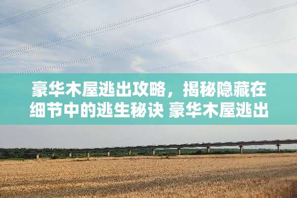 豪华木屋逃出攻略，揭秘隐藏在细节中的逃生秘诀 豪华木屋逃出攻略游戏