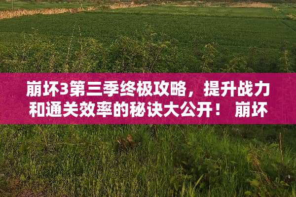 崩坏3第三季终极攻略，提升战力和通关效率的秘诀大公开！ 崩坏3rd攻略