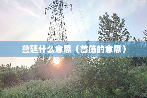 蔓延什么意思（蔷薇的意思）