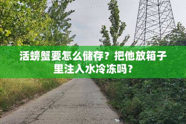 活螃蟹要怎么储存？把他放箱子里注入水冷冻吗？