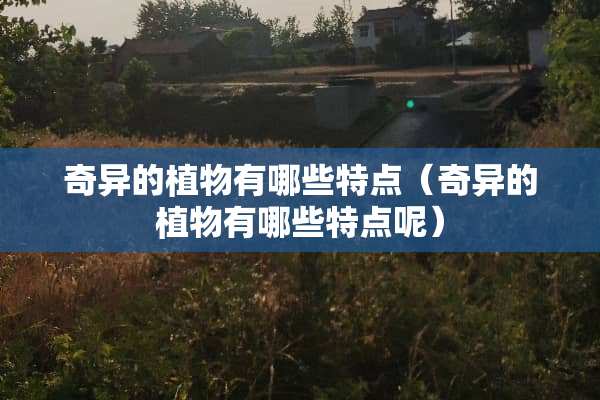 奇异的植物有哪些特点（奇异的植物有哪些特点呢）