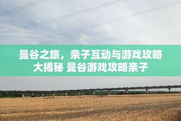 曼谷之旅，亲子互动与游戏攻略大揭秘 曼谷游戏攻略亲子