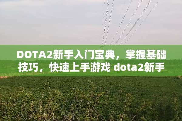 DOTA2新手入门宝典，掌握基础技巧，快速上手游戏 dota2新手攻略