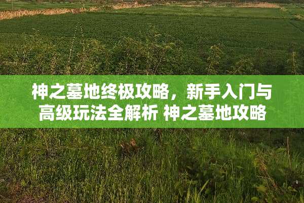 神之墓地终极攻略，新手入门与高级玩法全解析 神之墓地攻略