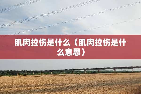 肌肉拉伤是什么（肌肉拉伤是什么意思）